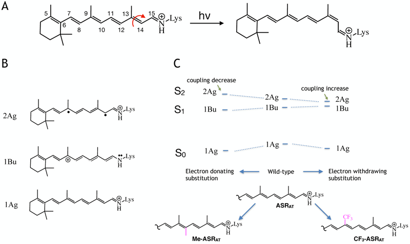 Scheme 1.