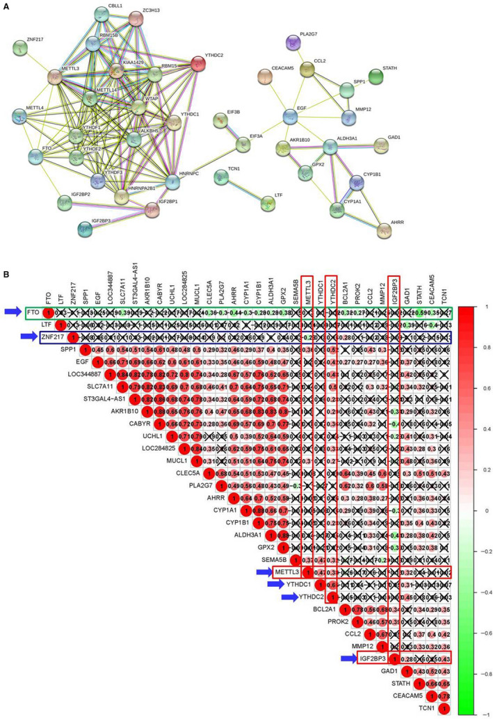 FIGURE 3