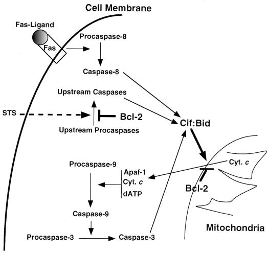 FIG. 10