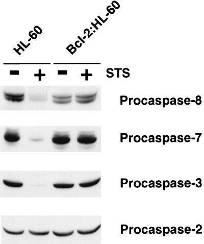 FIG. 9