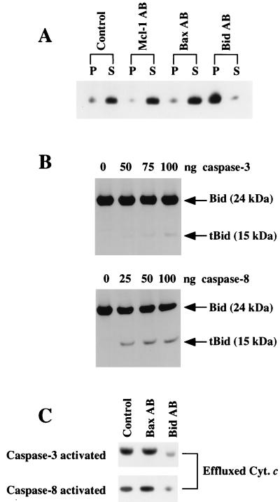 FIG. 8