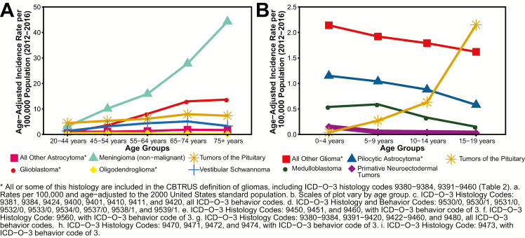 Fig. 12