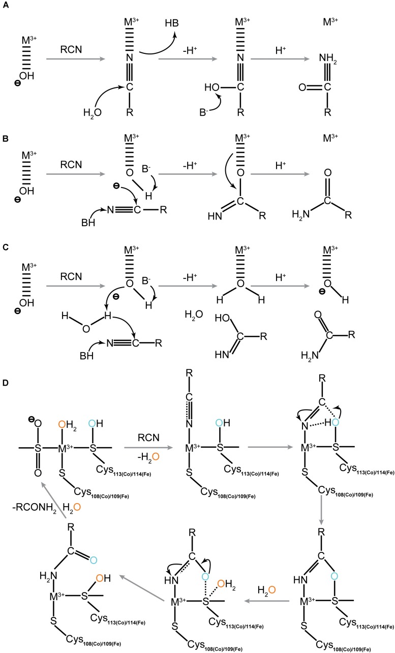 FIGURE 3