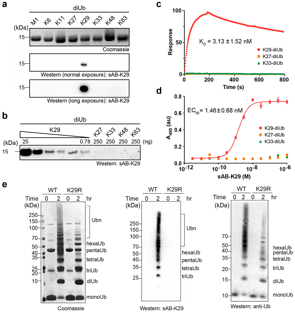 Fig. 2: