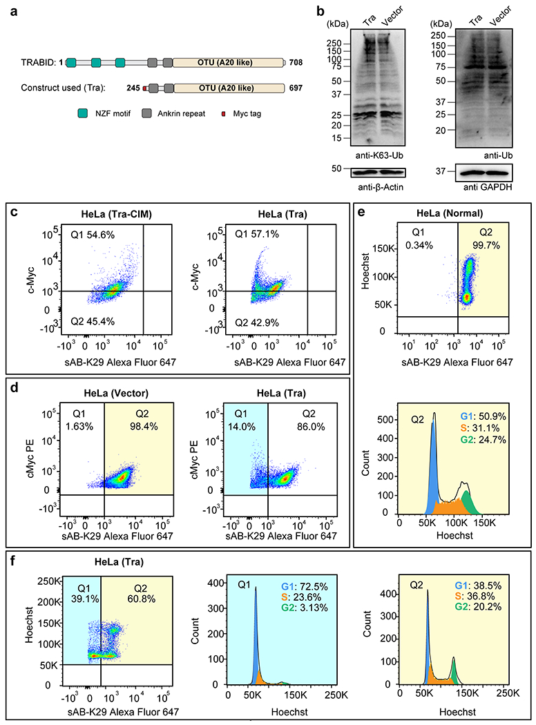 Extended Data Figure 6: