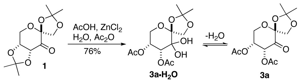 Scheme 2