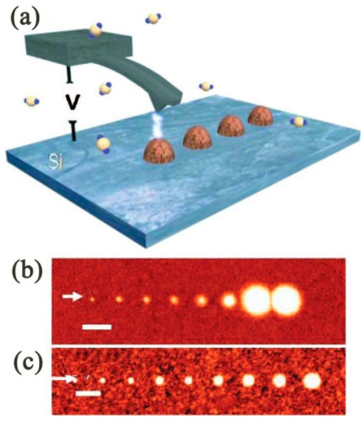 Figure 21