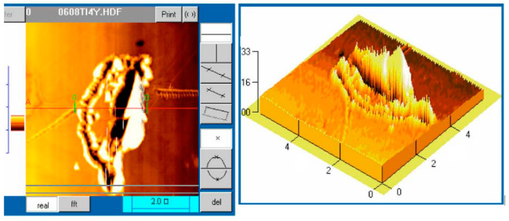 Figure 25