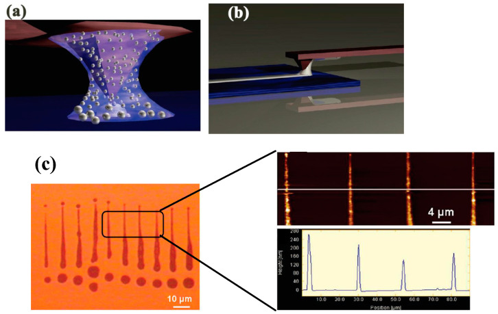 Figure 18