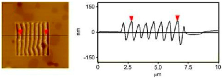 Figure 24