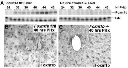 Fig 2.