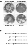 FIG. 5.