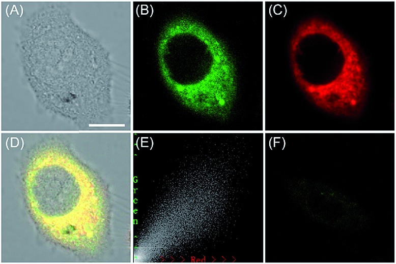 Fig. 27