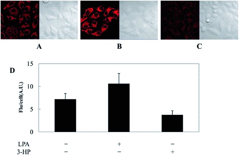 Fig. 17