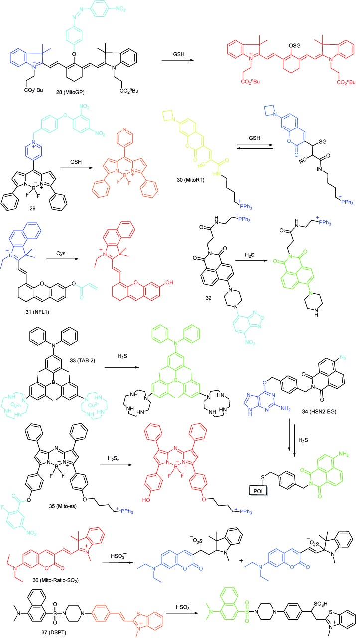 Fig. 16