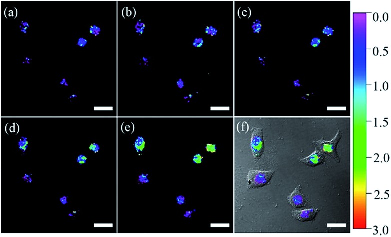 Fig. 4