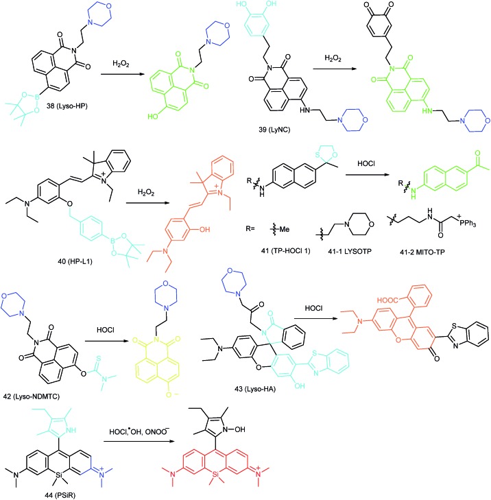 Fig. 19