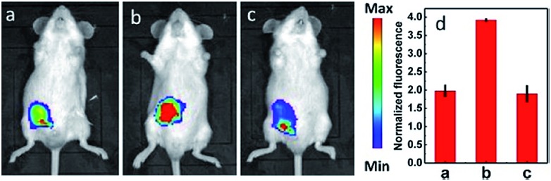 Fig. 7