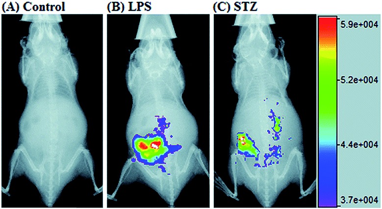 Fig. 23