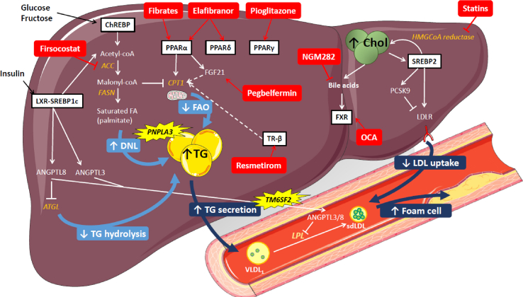 Figure 1