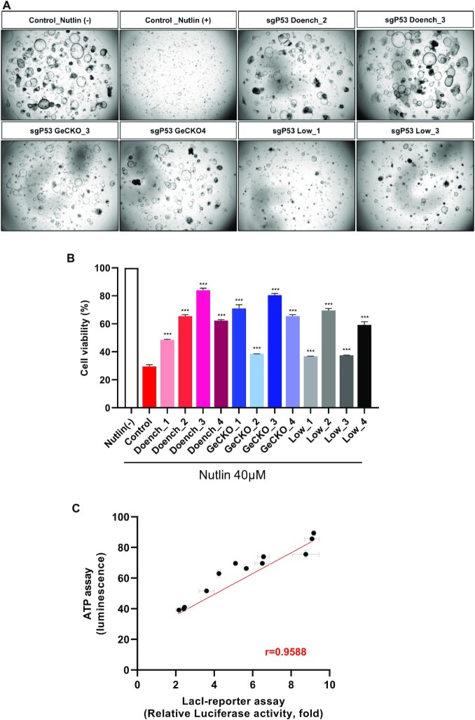 Figure 6.