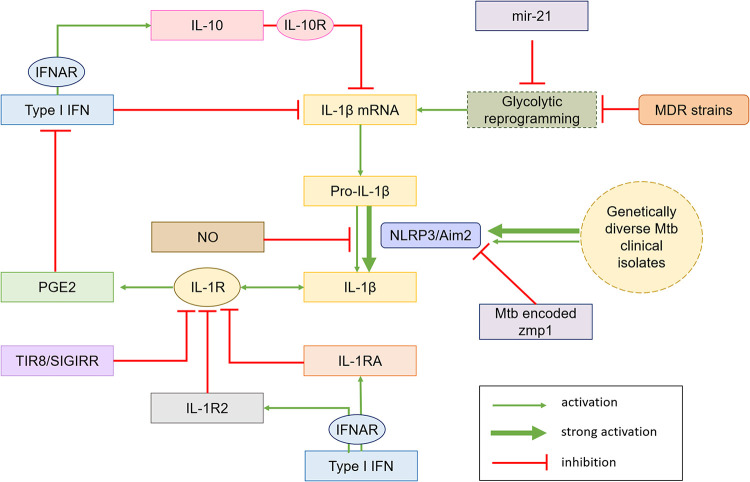 FIG 2