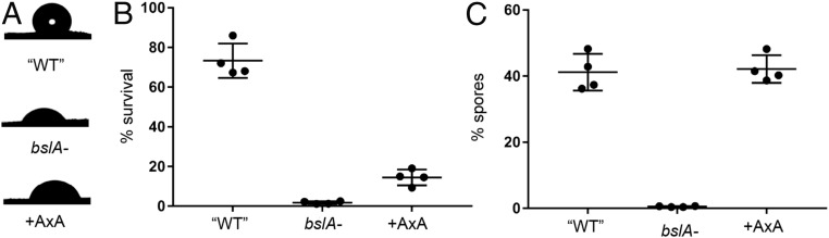 Fig. 5.