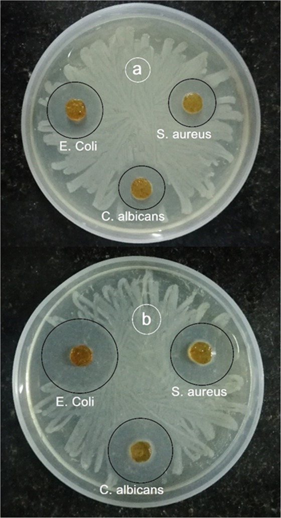 Figure 10