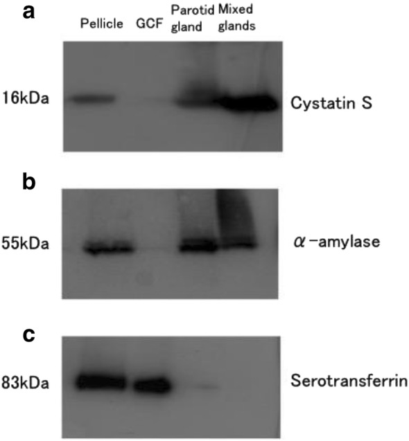 Fig. 4