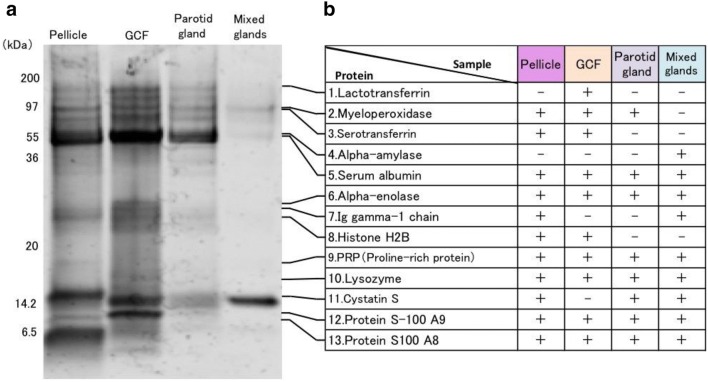 Fig. 3