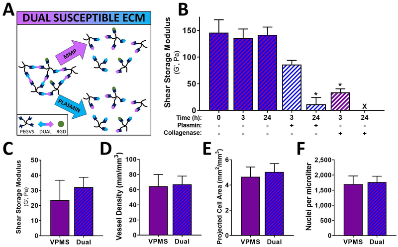 Fig 5: