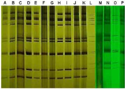 Fig. (2)