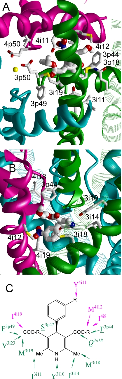 FIGURE 5.