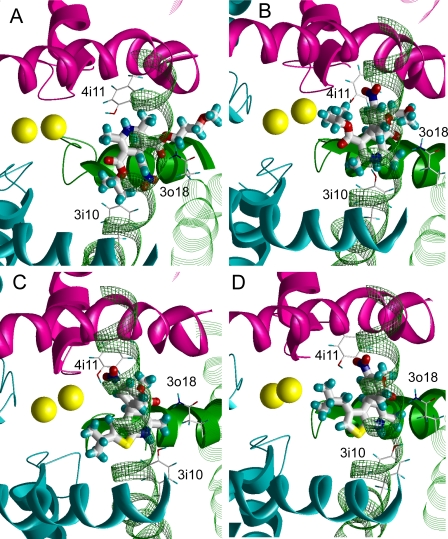 FIGURE 3.