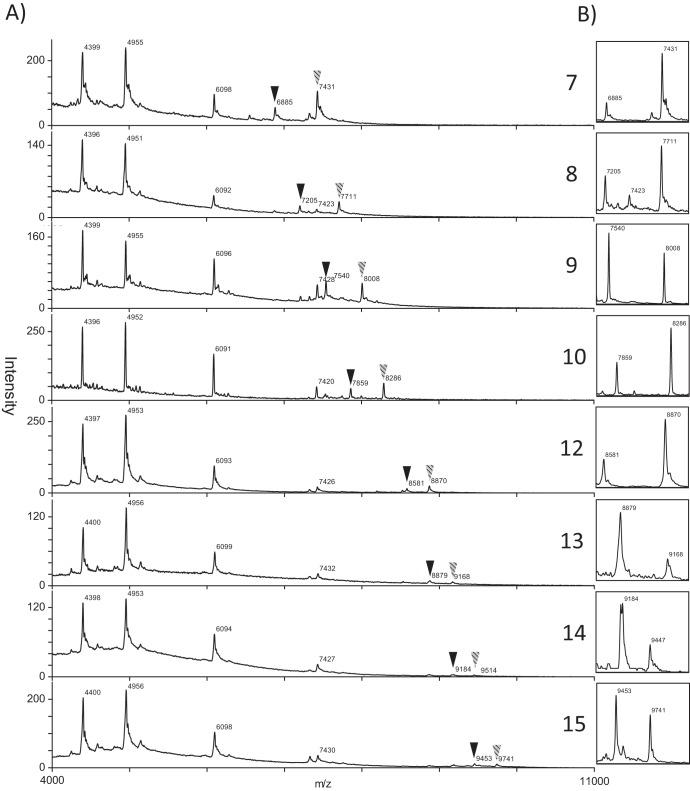 FIG 3