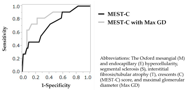 Maximum Glomerular Diameter and Oxford MEST-C Score in IgA Nephropathy ...