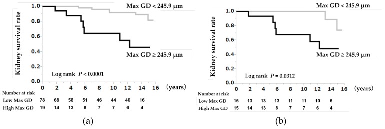 Maximum Glomerular Diameter and Oxford MEST-C Score in IgA Nephropathy ...