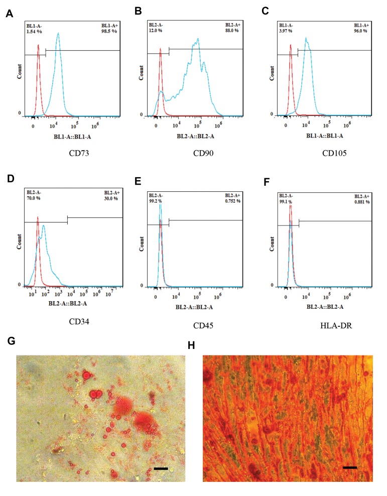 Fig.1