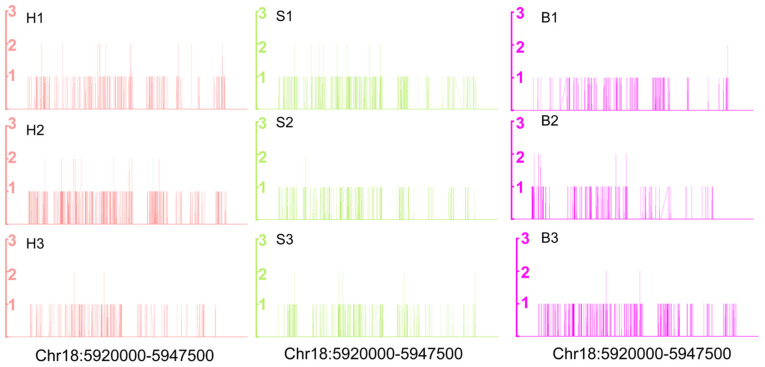 Figure 6