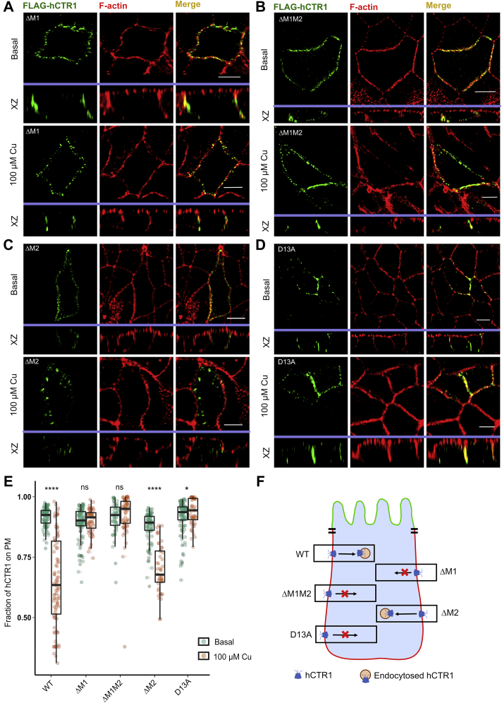 Figure 6