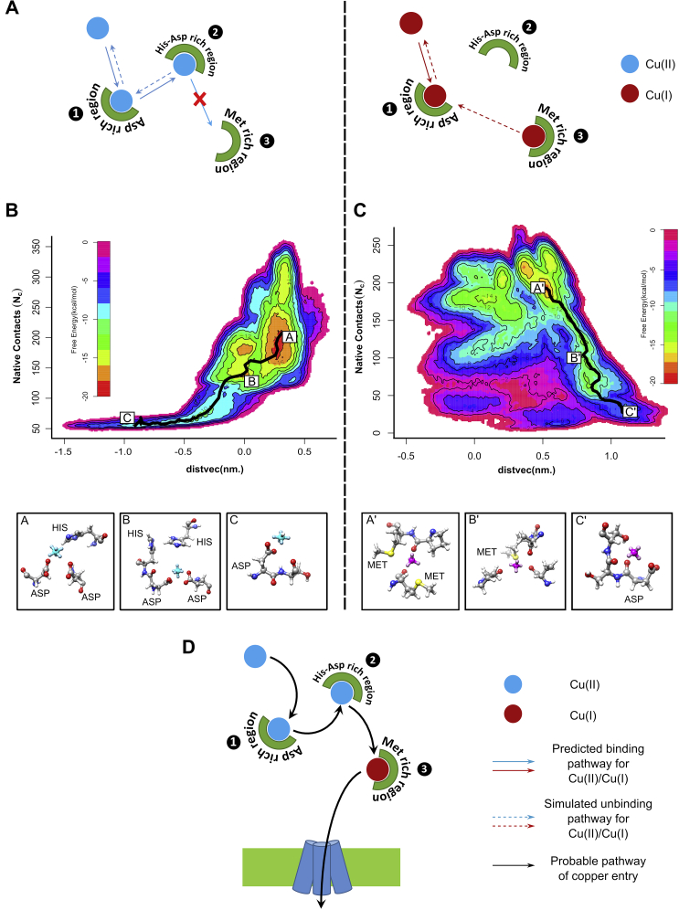 Figure 3