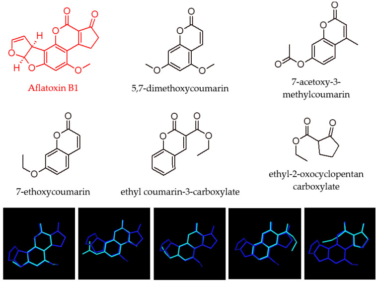 Figure 10