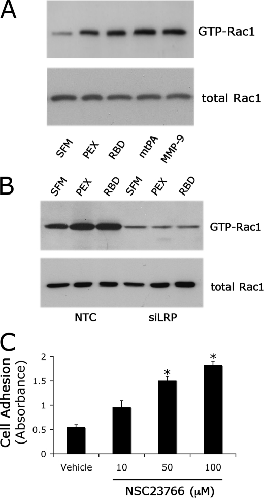 FIGURE 4.