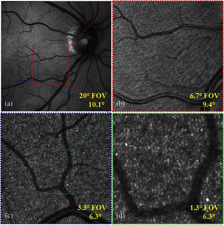 Fig. 8