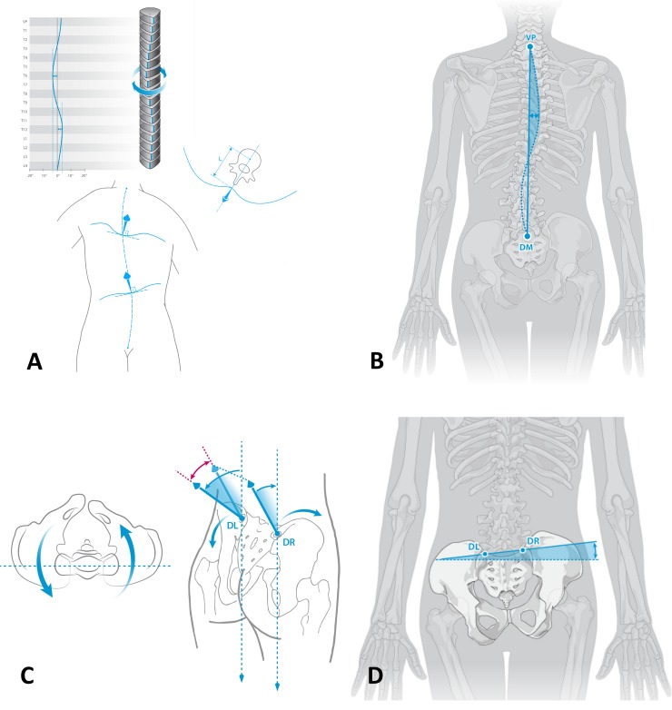 Fig 2