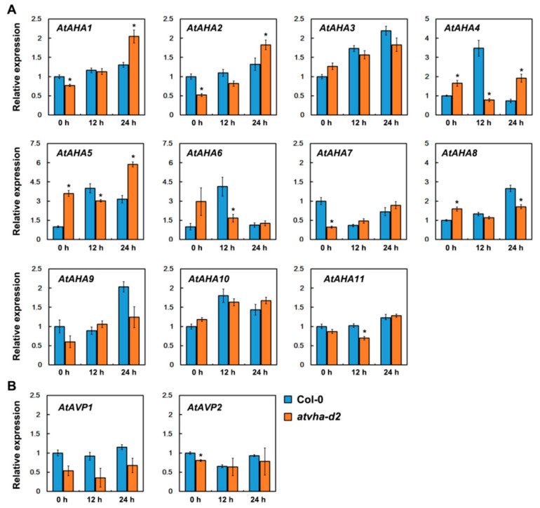 Figure 10