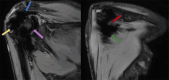 Fig 6: