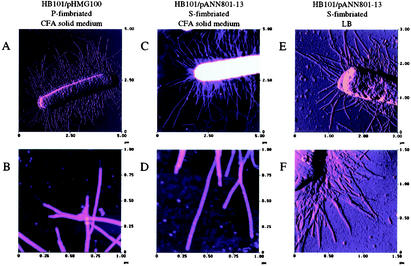 FIG. 7.