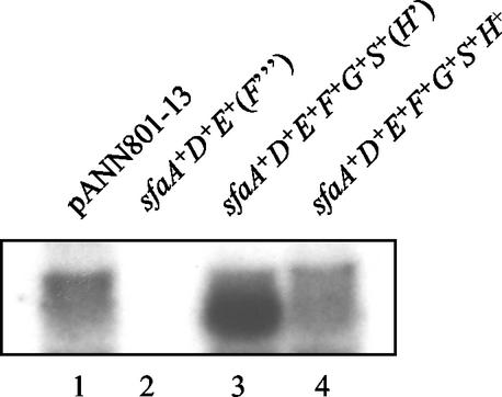 FIG. 5.