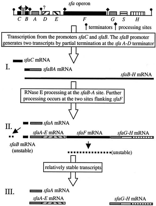 FIG. 8.